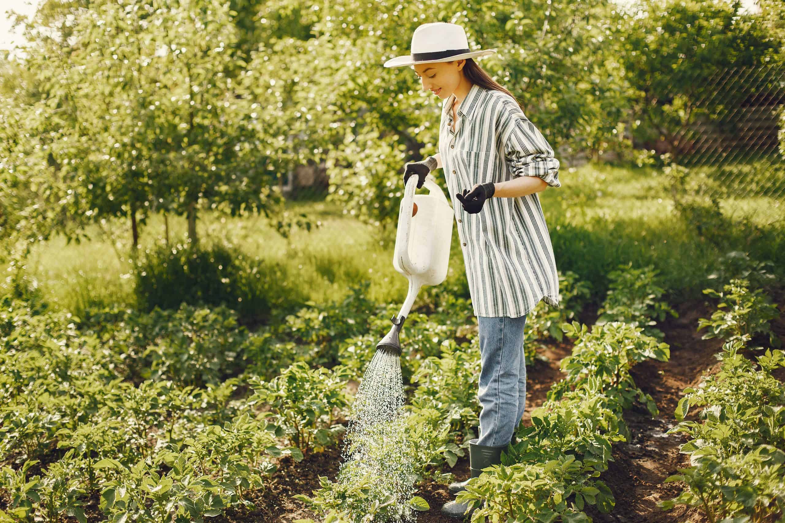 femme en train d'arroser les plantes de son jardin