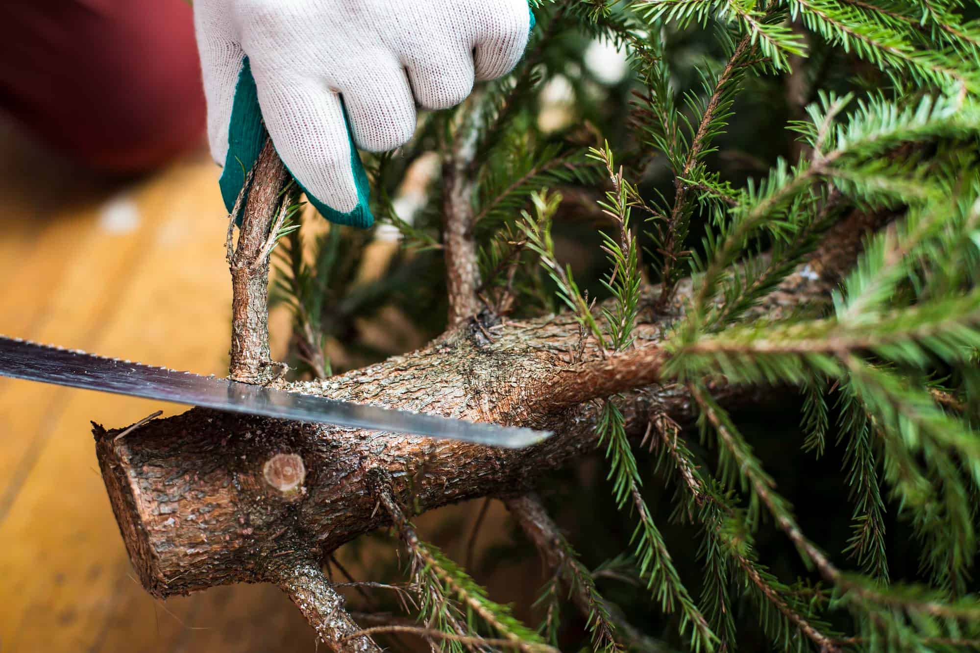 kerstboom verwijderen na feestdagen