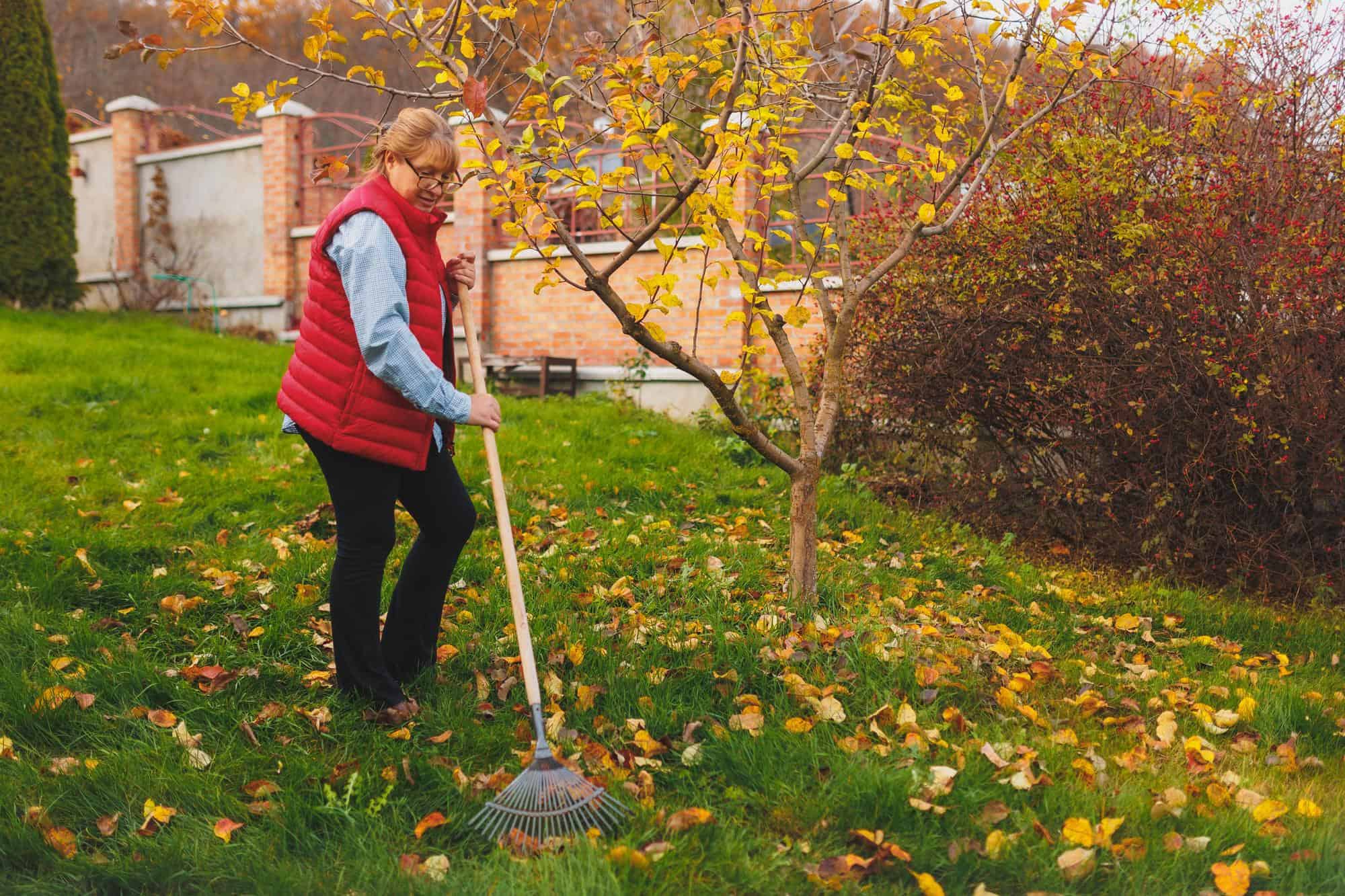 14 tips om je tuin herfstklaar te maken